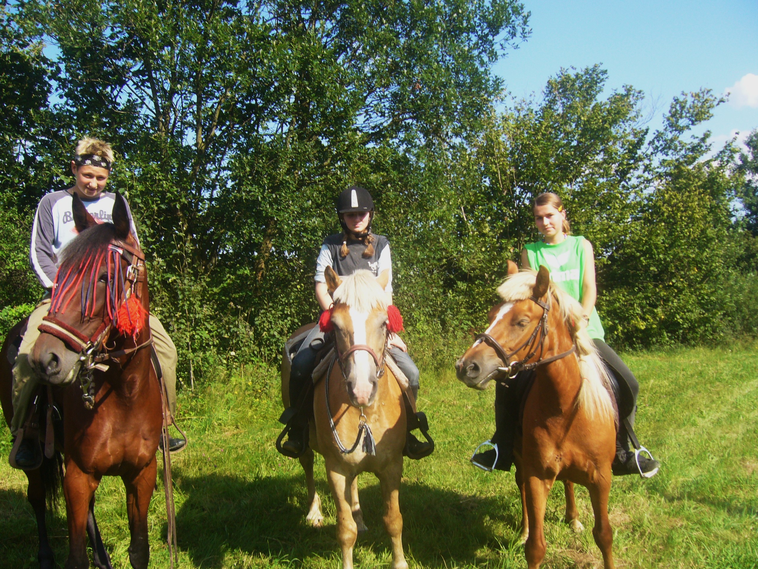 Simon, Lende, Svestka