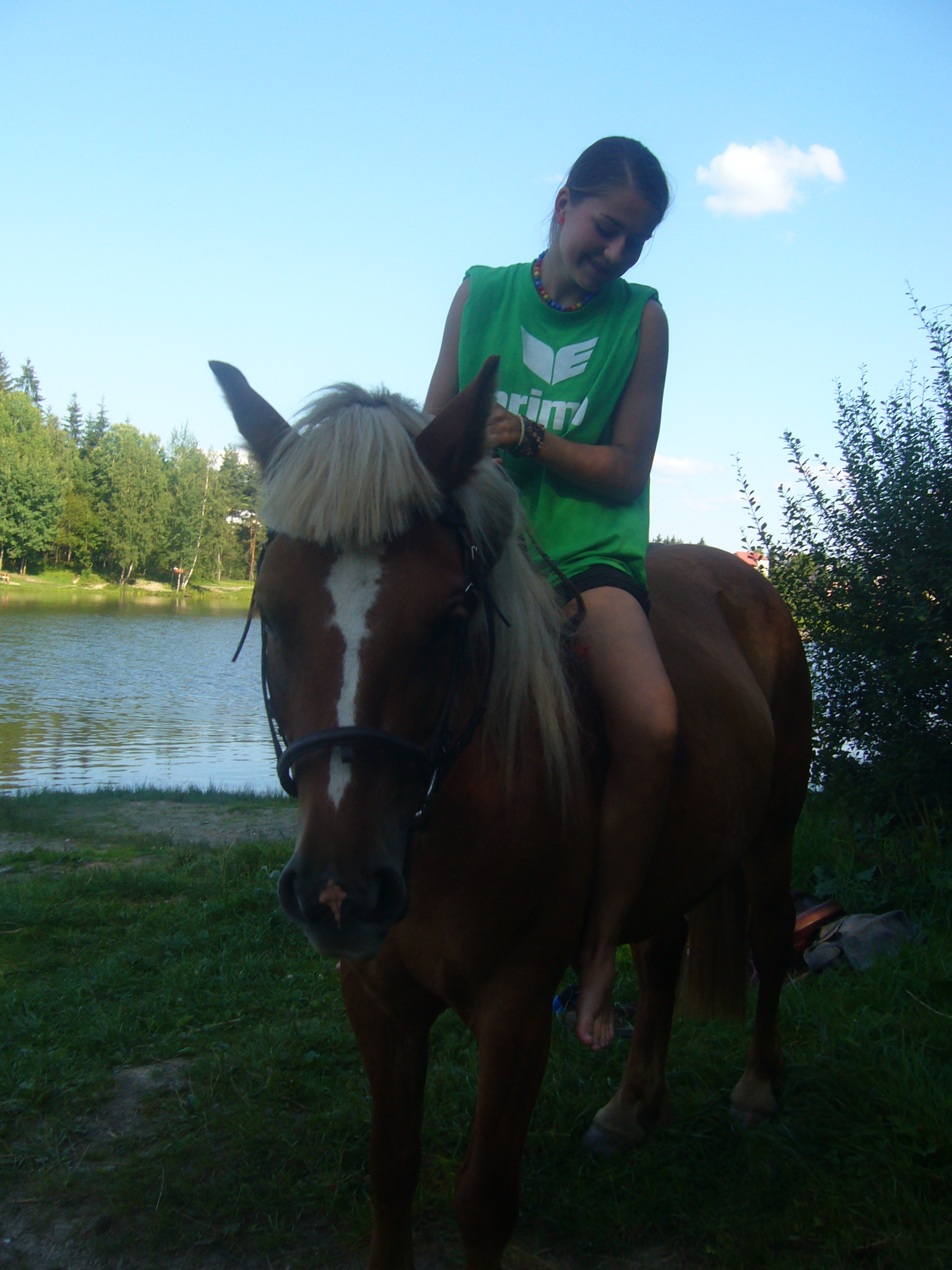 svestkaa