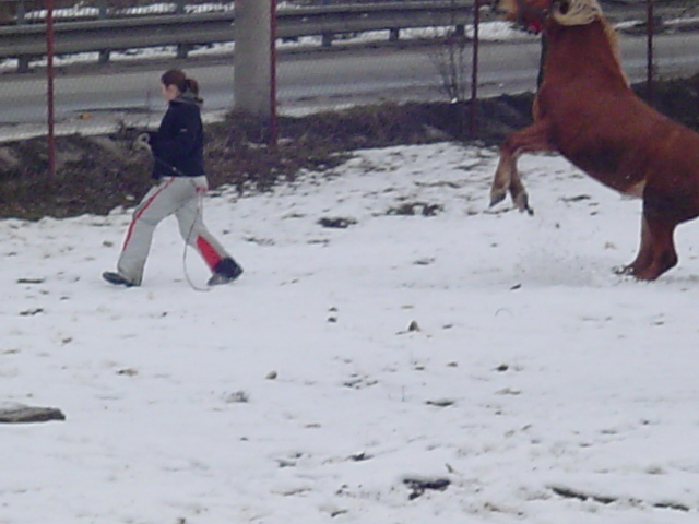 Zima2007