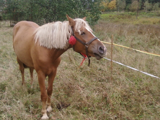 Jeseň2009