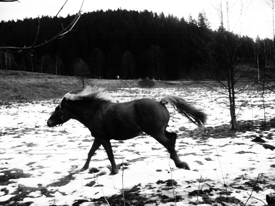 mf_205664011_17ad2f625ef65f2ed2569611ec298c2e.jpg