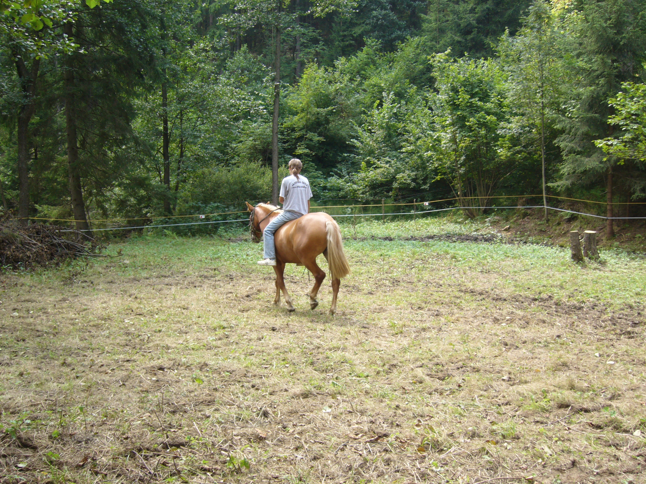 P1030347.JPG