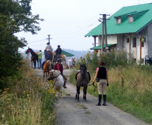 Príchod